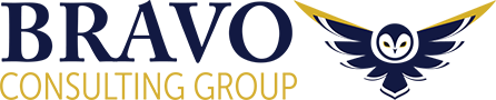 ravo Consulting Group