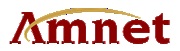 Amnet Technology Pte ltd Logo