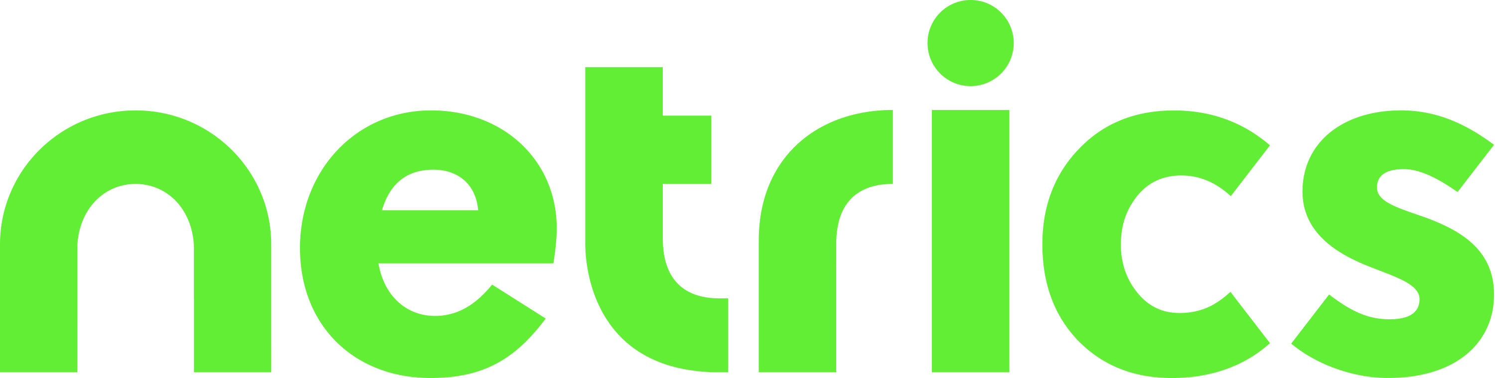 Netrics Logo