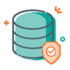 Datenvalidierung, Klassifizierung und Datenschutz Icon