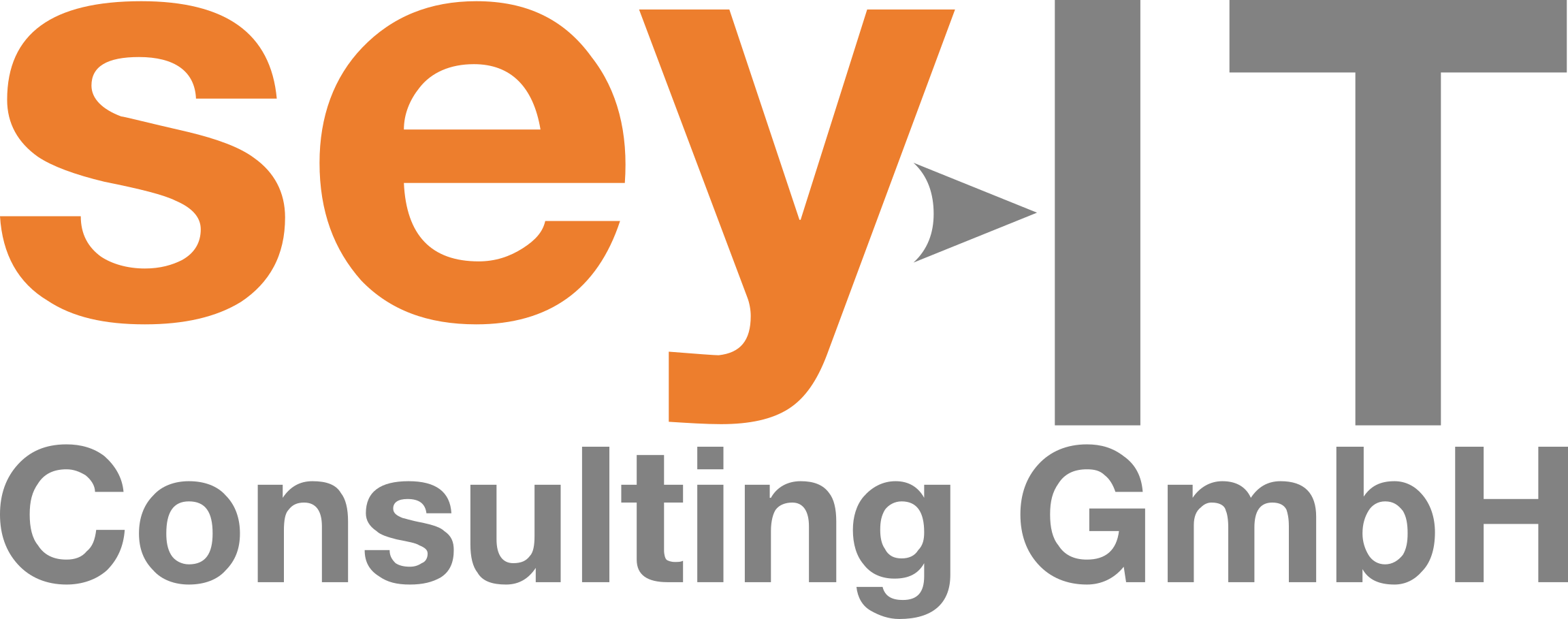 sey-IT Consulting GmbH Logo